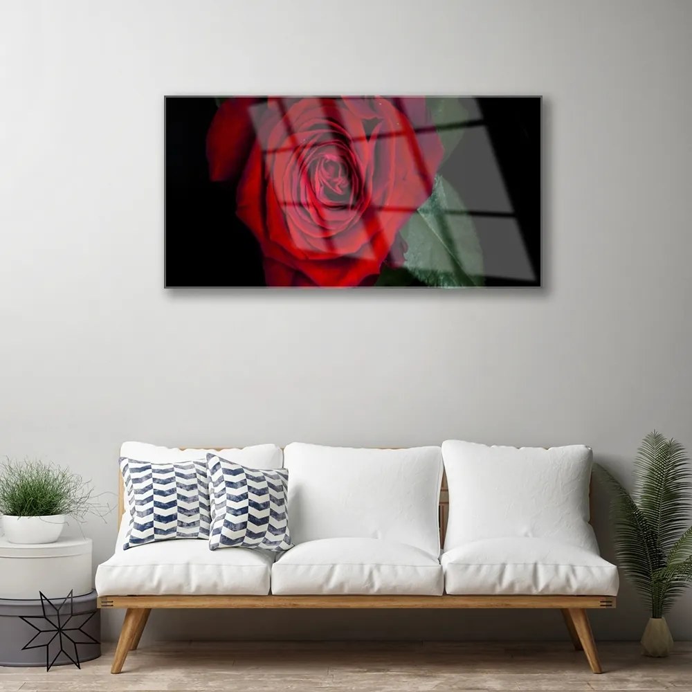 Obraz na skle Ruže 120x60 cm