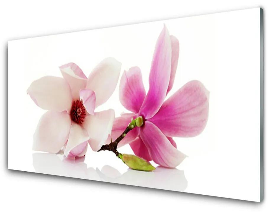 Obraz na skle Kvety rastlina príroda 100x50 cm