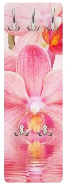 Vešiak na stenu Ružová orchidea