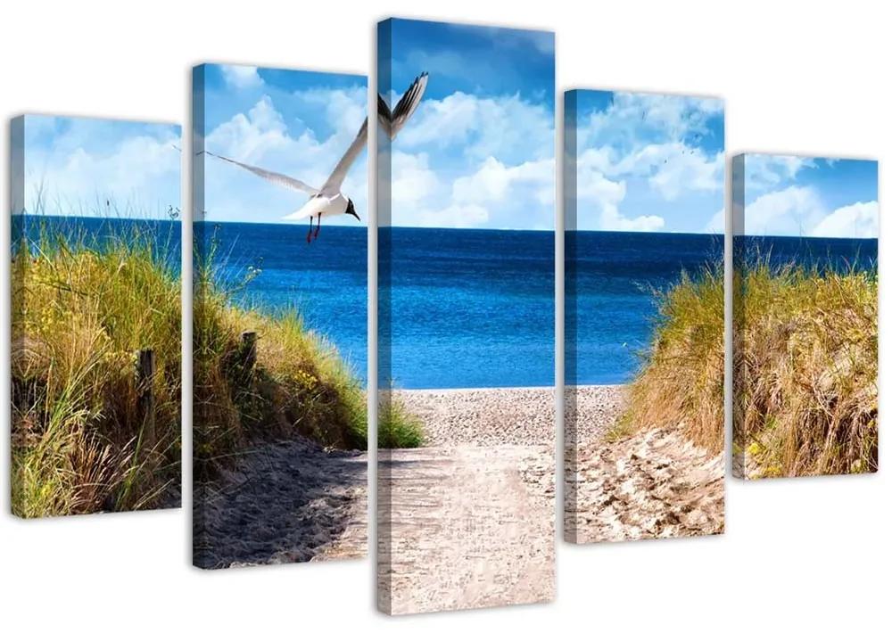 Obraz na plátně pětidílný Krajina Mořská pláž Tráva - 200x100 cm