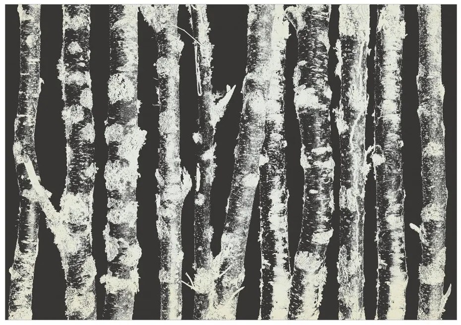 Samolepiaca fototapeta - Statné brezy - II 147x105