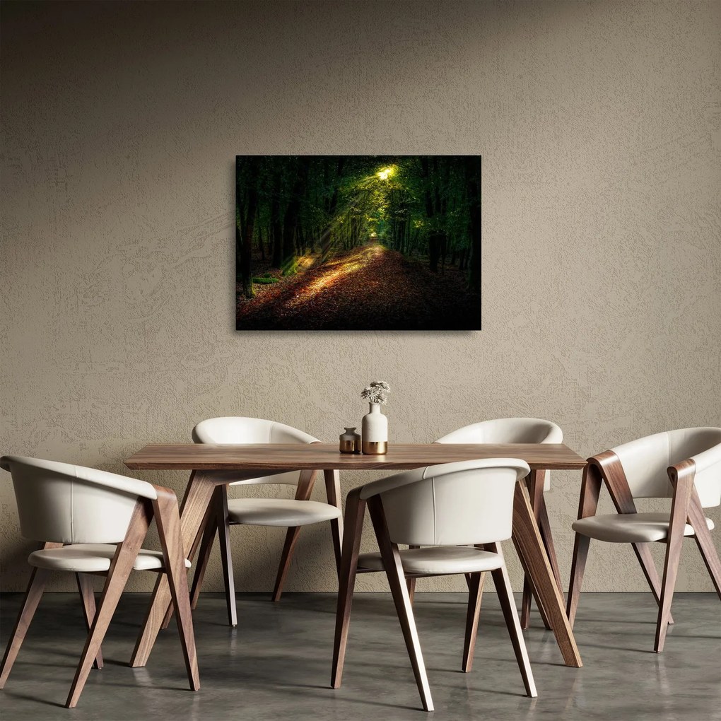 Sklenený obraz lesnej cesty (70x50 cm)