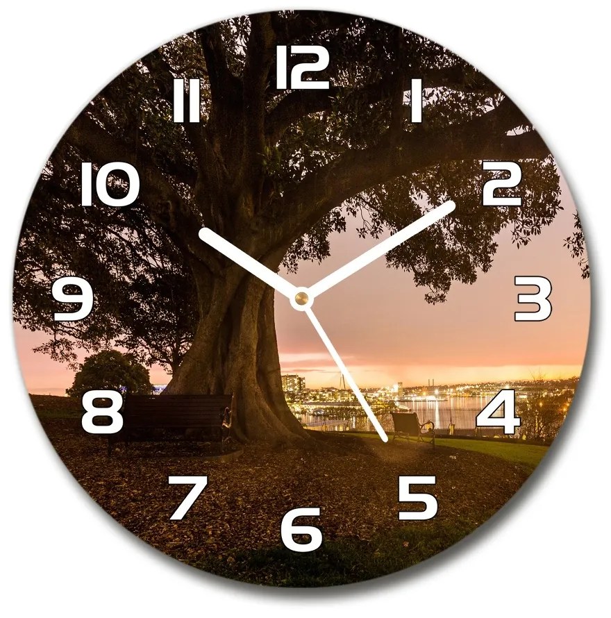 Sklenené nástenné hodiny okrúhle Starý strom pl_zso_30_f_90219521