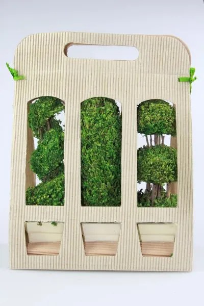 Zelené sušené bonsaje 3ks v darčekovom balení 24cm