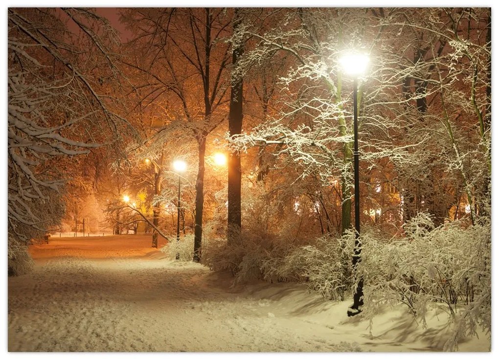 Sklenený obraz - Zasnežený park (70x50 cm)