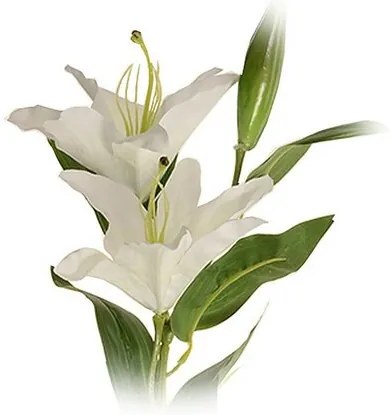 Umelá kvetina Ľalia veľkokvetá biela, dva kvety a púčik, v. 84 cm