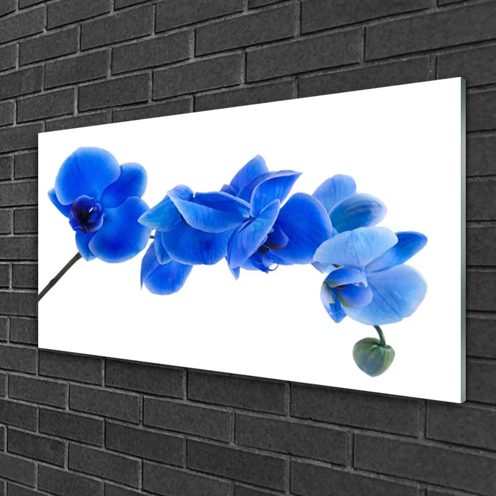 Skleneny obraz Kvet rastlina príroda 125x50 cm