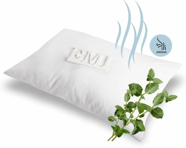 Aromatický vankúš Mint 50x70 cm EMI