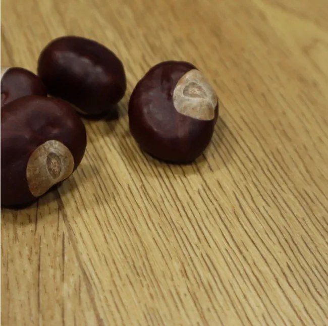 PVC podlaha Texalino Supreme 636 L Columbian Oak