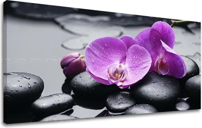 Obraz na stenu PANORÁMA FENG SHUI