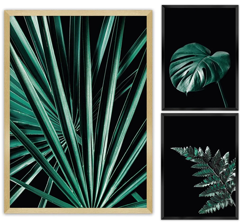 Súbor obrazov Botanica 3 ks