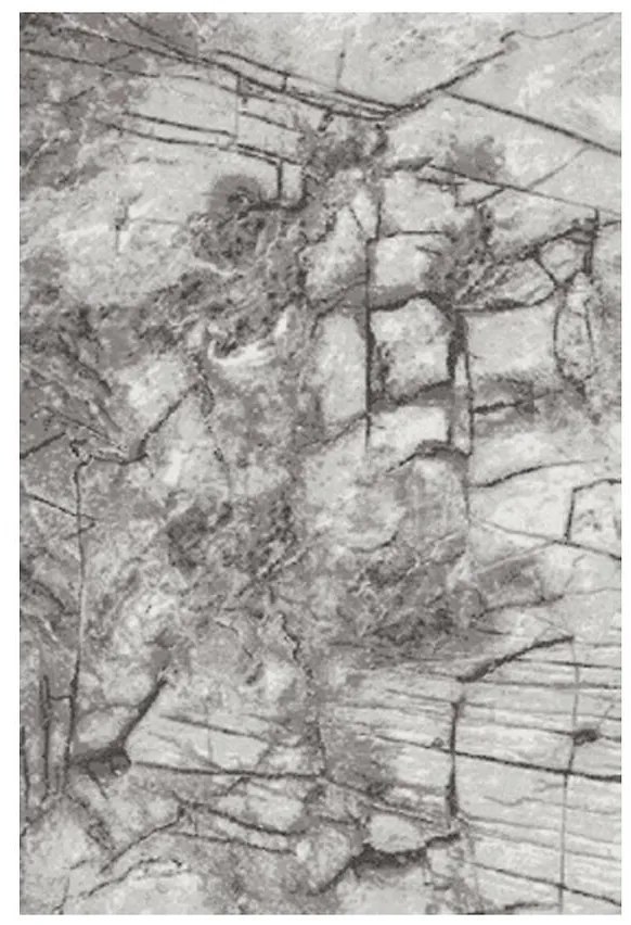 Koberec Frisee Phoenix 0,8/1,5 6057 544