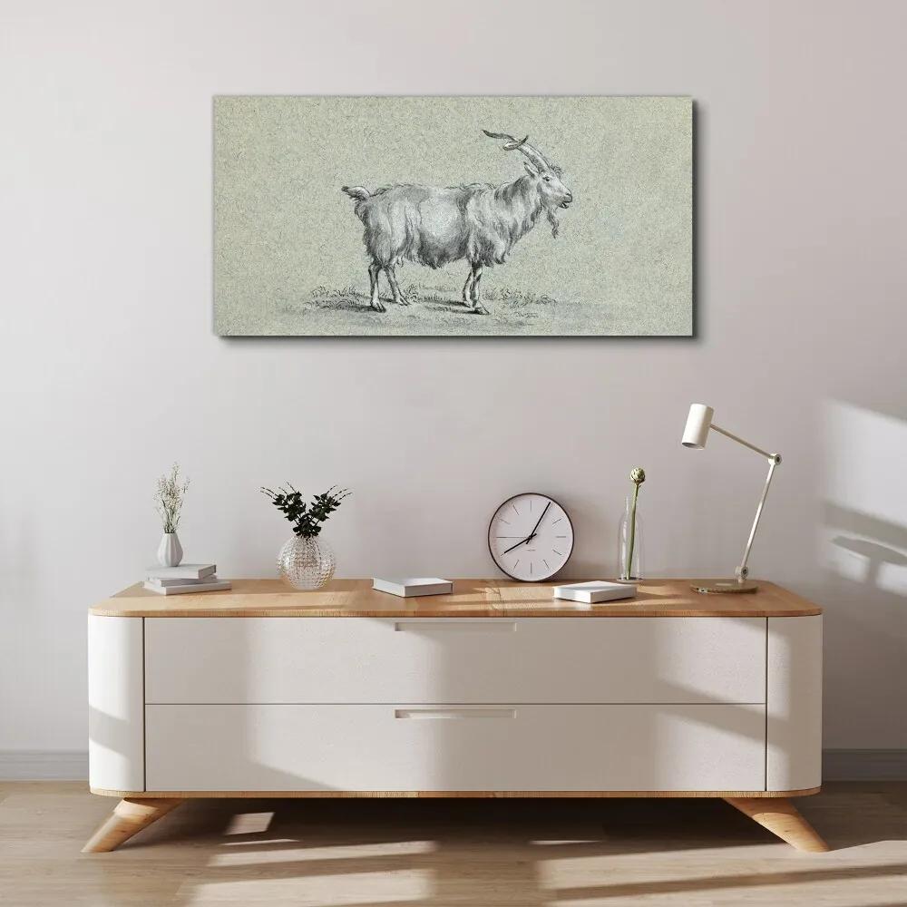 Obraz na plátne Moderné zvieracie koza