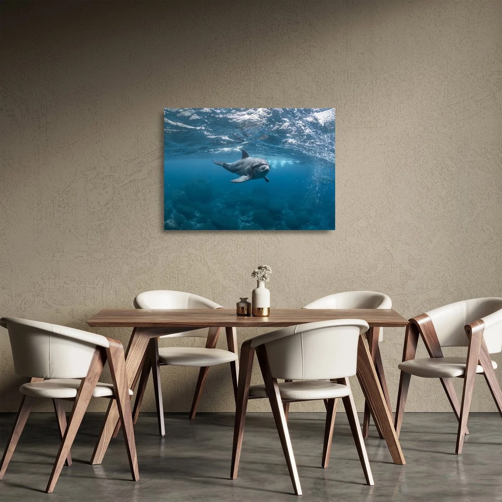 Sklenený obraz - Delfín pod hladinou (70x50 cm)