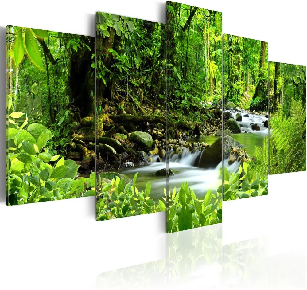 Obraz na plátne Bimago - In the mighty jungle... 100x50 cm