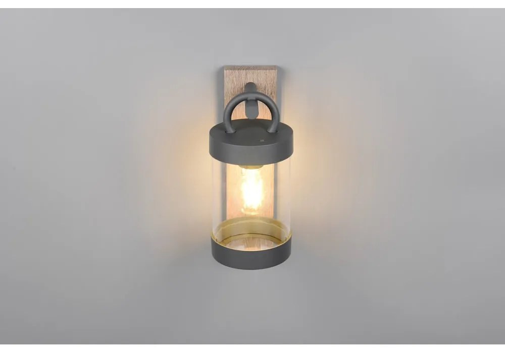 Nástenné vonkajšie svietidlo (výška 33 cm) Sambesi – Trio