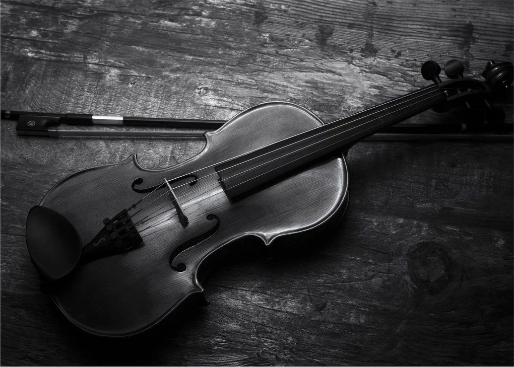 Sklenený obraz - Viola (70x50 cm)