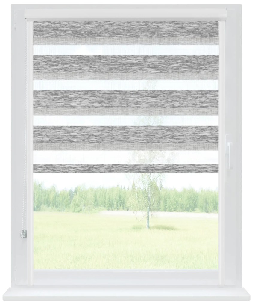 Dekodum Roleta deň a noc v bielej kazete premium, farba látky Striebro Šířka (cm): 66, Dĺžka (cm): 150, Strana mechanizmu: Práva