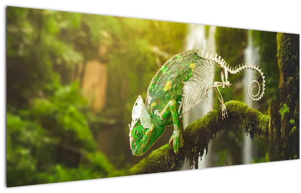 Obraz chameleóna (120x50 cm)