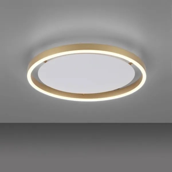 Leuchten Direkt 15391-60 - LED Stmievateľné stropné svietidlo RITUS LED/20W/230V
