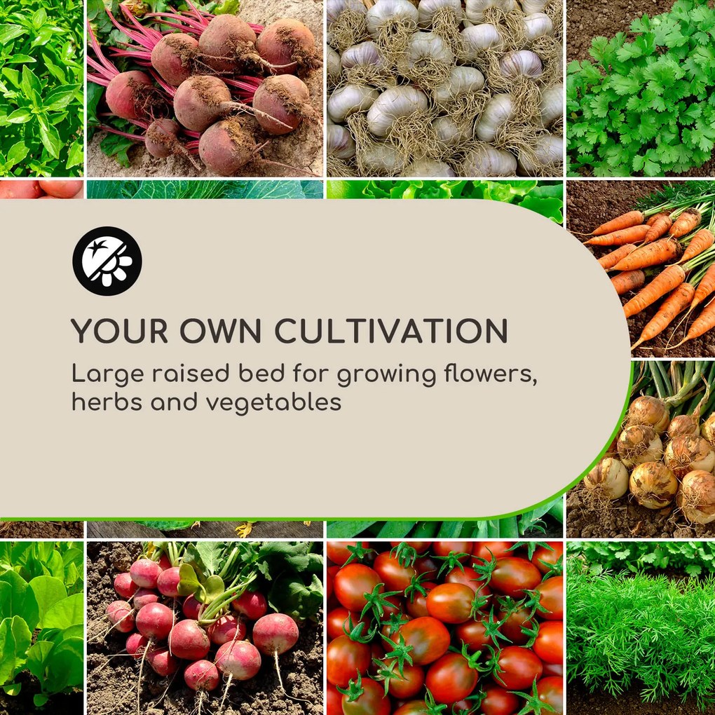 Blumfeldt High Grow Straight, vyvýšený záhon, 200 x 60 x 100 cm, 1200 l, oceľ