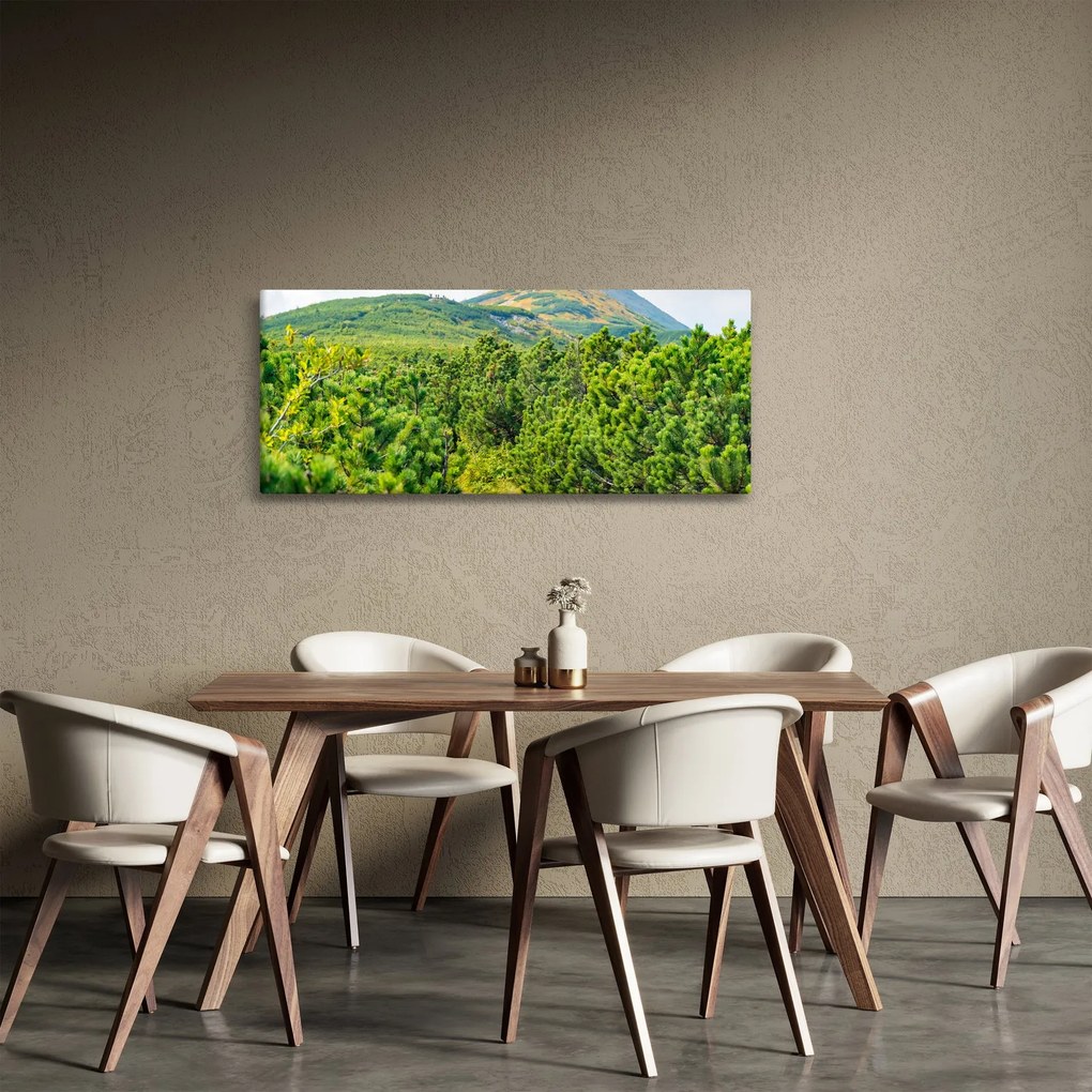 Obraz - Babi Hora, Poľsko (120x50 cm)