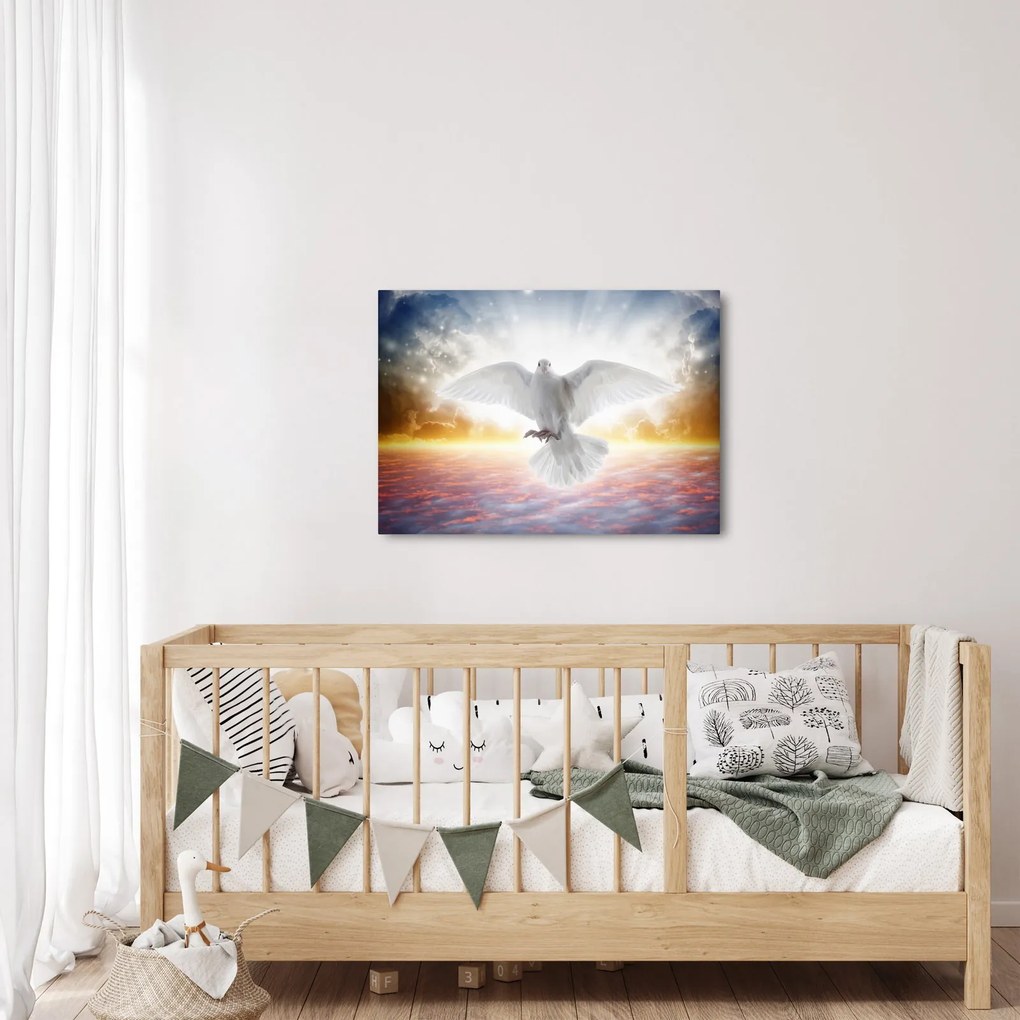 Obraz holubice (70x50 cm)