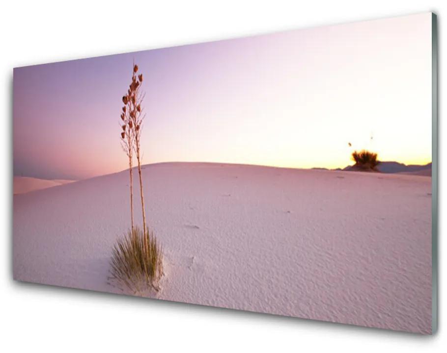 Sklenený obklad Do kuchyne Púšť písek krajina 100x50 cm