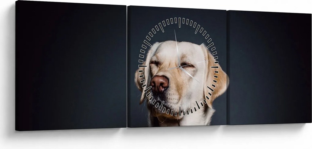 Obraz labradora (s hodinami) (90x30 cm)