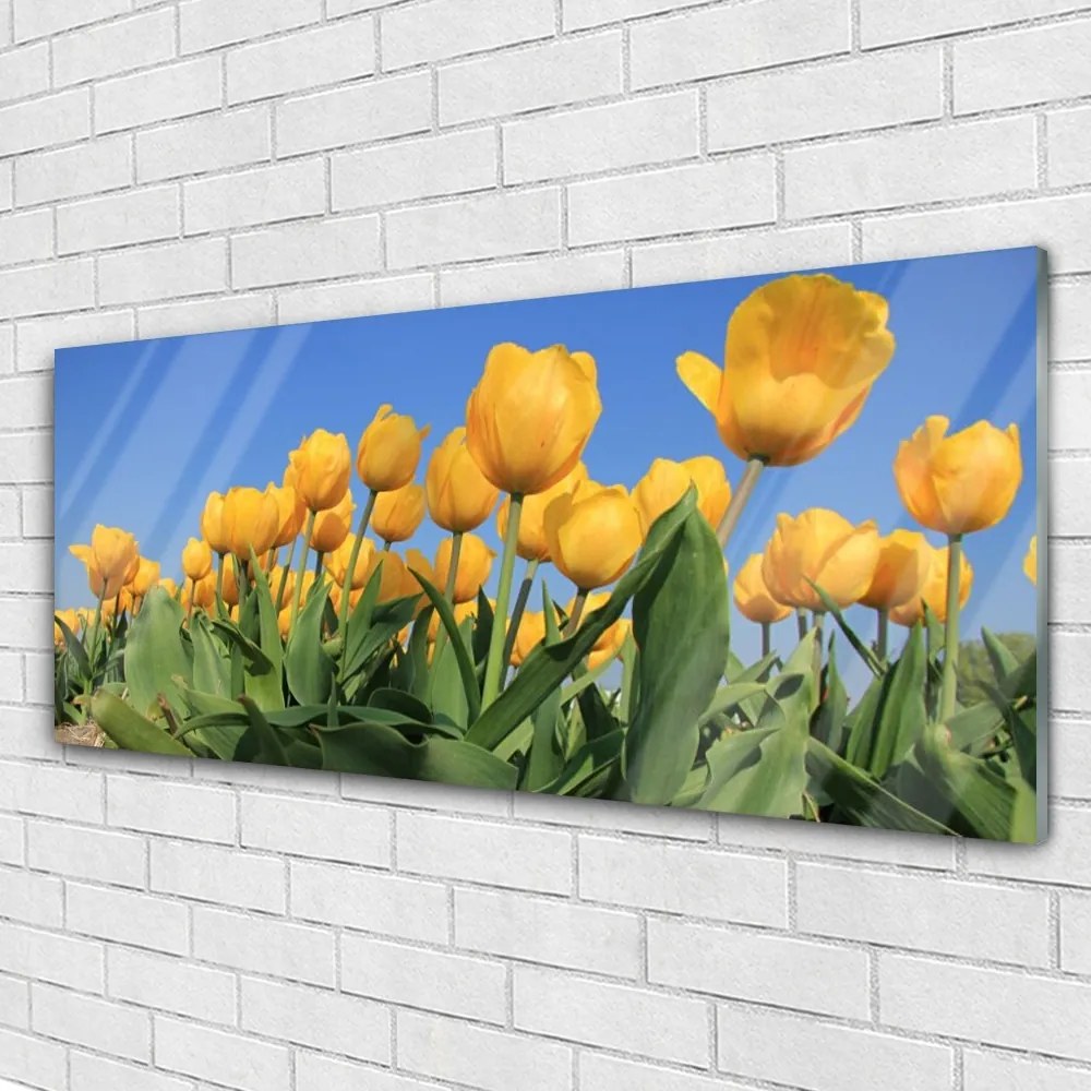 Obraz plexi Tulipány kvety rastlina 125x50 cm