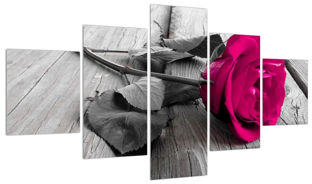 Obraz ružovej ruže (K011141K12570)