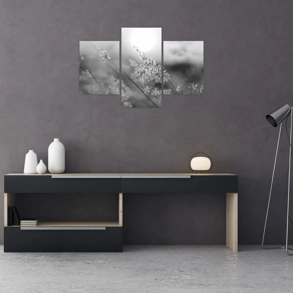 Obraz - Jesenná lúka (90x60 cm)