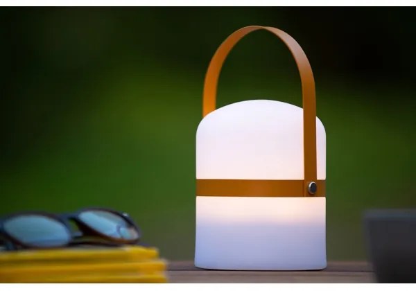 Lucide 06802/01/43 -LED Vonkajšia stmievateľná lampa LITTLE JOE LED/0,3W/3,7V IP44