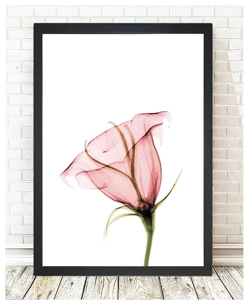 Obraz Tablo Center Bloom, 24 × 29 cm