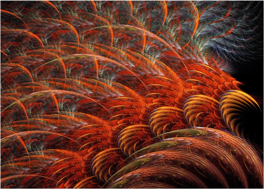 Obraz - Abstraktná imitácia peria (70x50 cm)