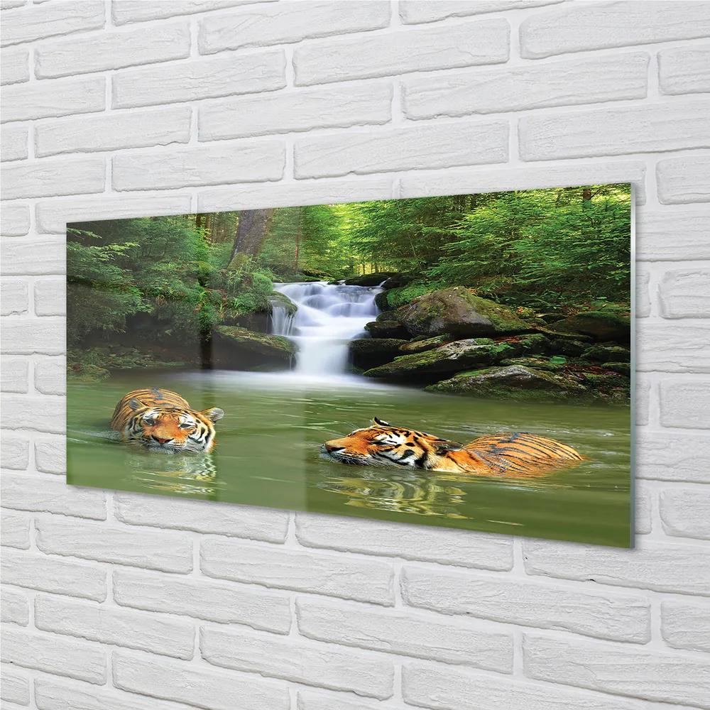 Obraz na akrylátovom skle Vodopád tigre 125x50 cm