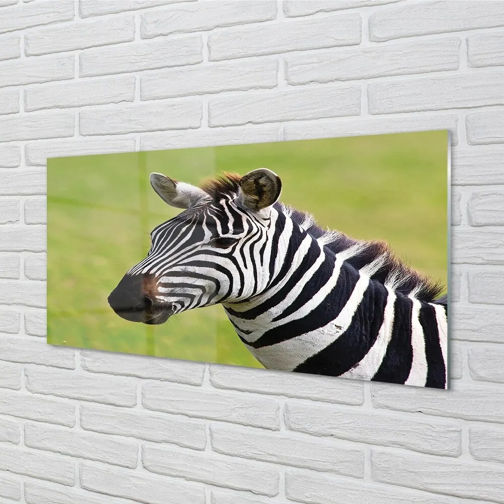 Sklenený obraz zebra 125x50 cm