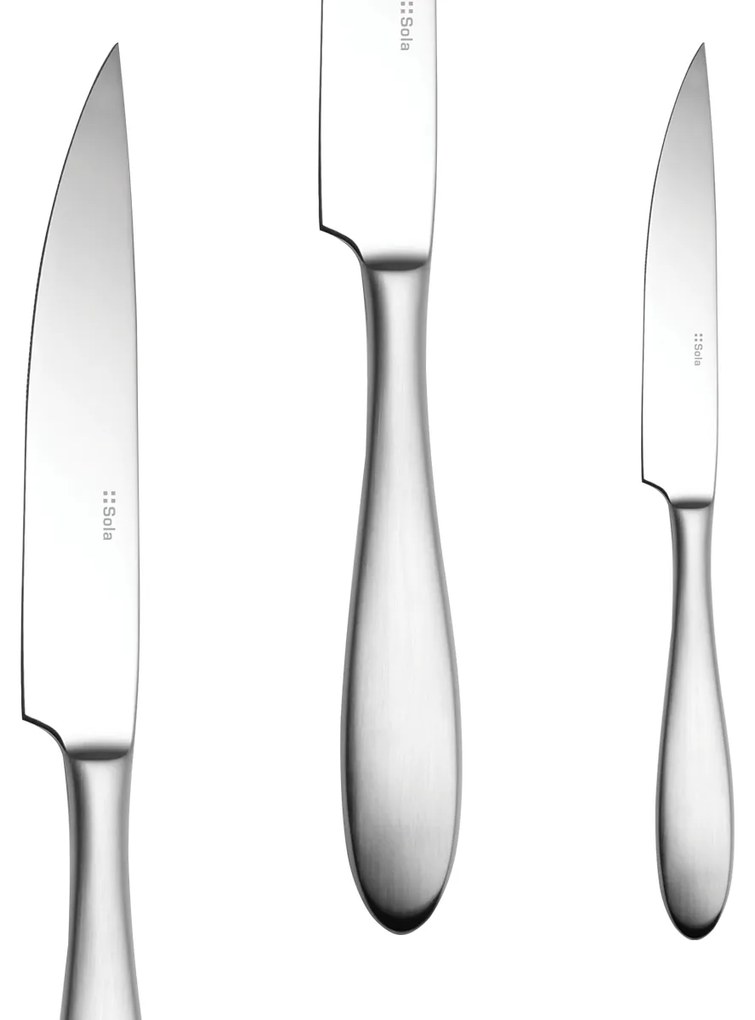 Steakový nôž s dutou rúčkou 24,5 cm - Turin - 103790