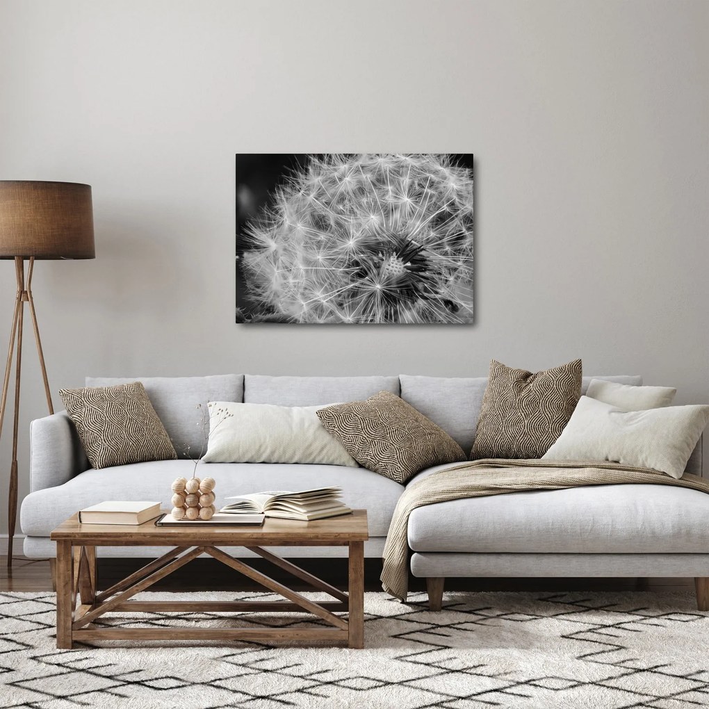 Obraz - páperie púpav (70x50 cm)