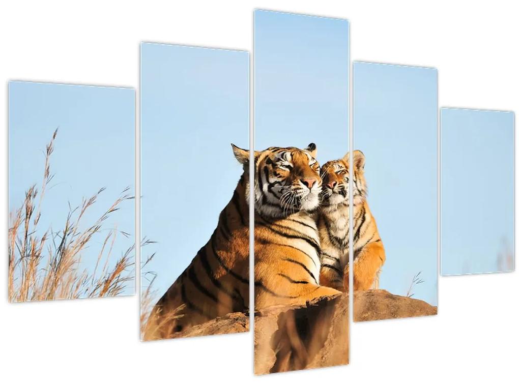 Obraz - Tigrice a jej mláďa (150x105 cm)
