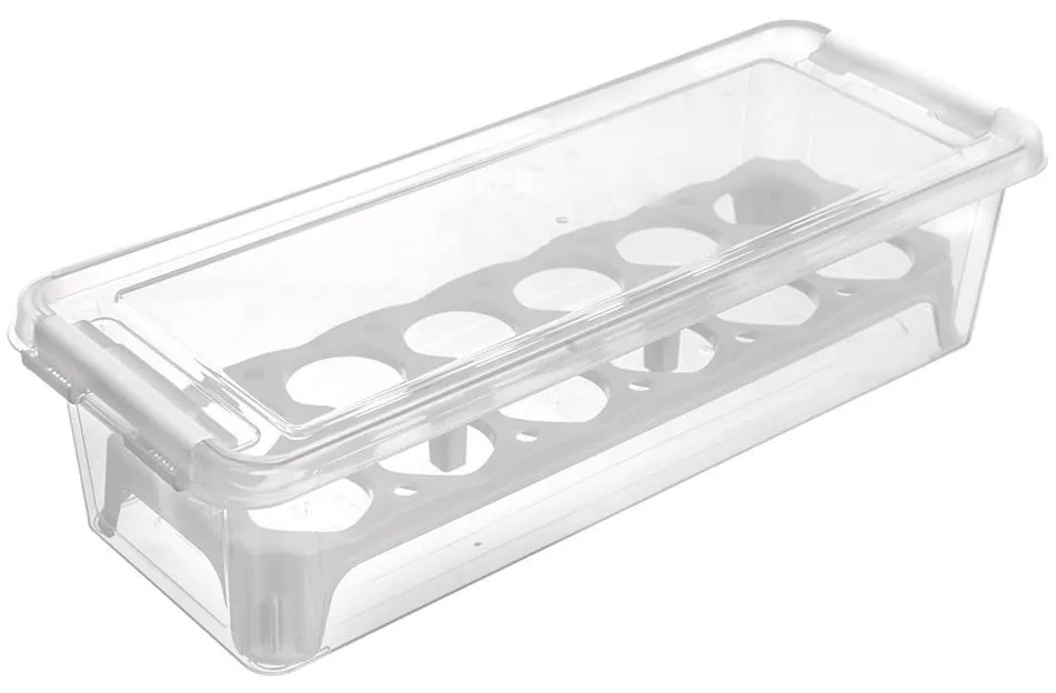 Orion Box na vajíčka, obal na 12ks vajec, FRESH