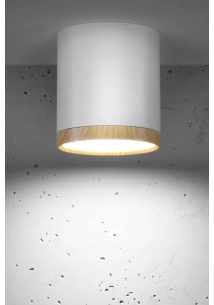 LED Stropné svietidlo TUBA LED/5W/230V biela/béžová