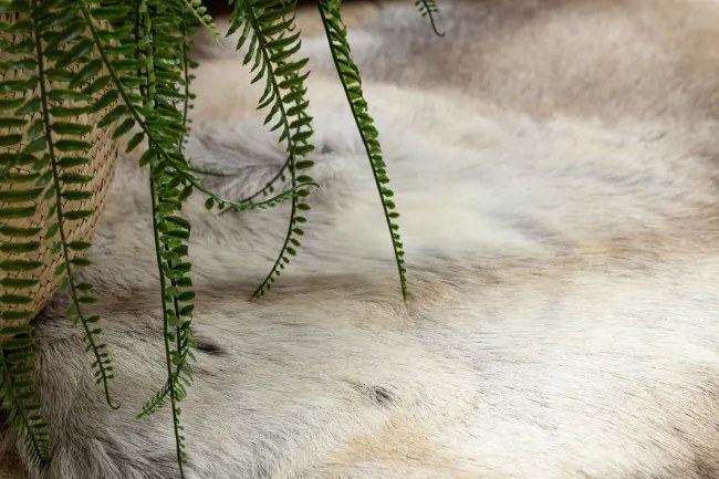 Koberec RENIFER POK019 hnedý