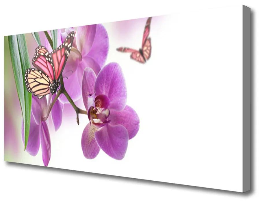 Obraz Canvas Motýle kvety príroda 100x50 cm