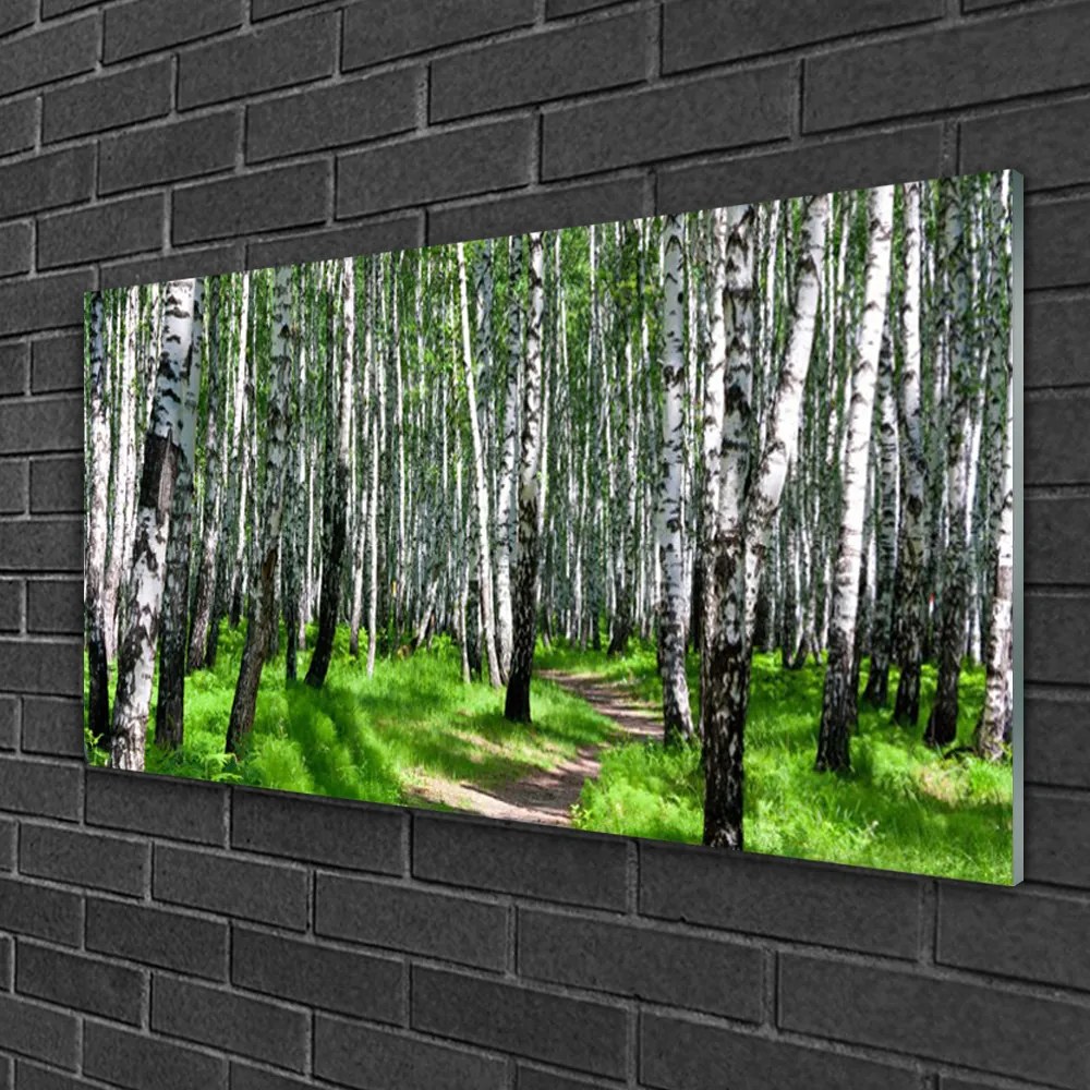 Obraz na skle Stromy tráva príroda 125x50 cm