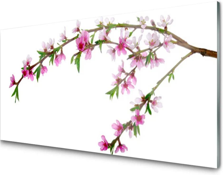 Obraz na skle Větev květ příroda