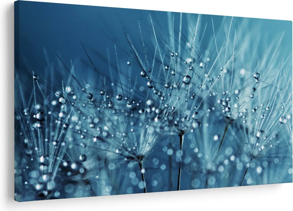 Obraz - Kvapky rosy (90x60 cm)