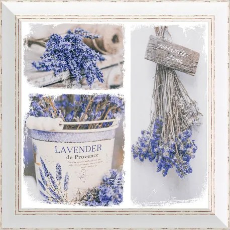 Rámovaný obraz 40x40cm FAP516