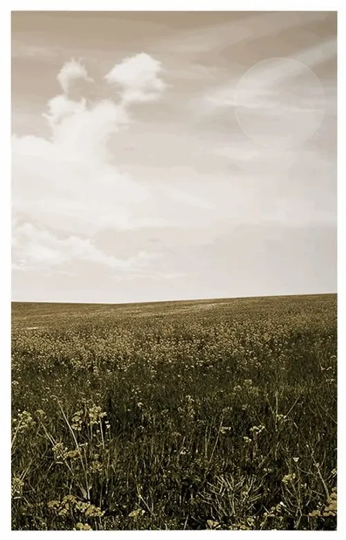 Plagát retro lúka - 30x45 silver
