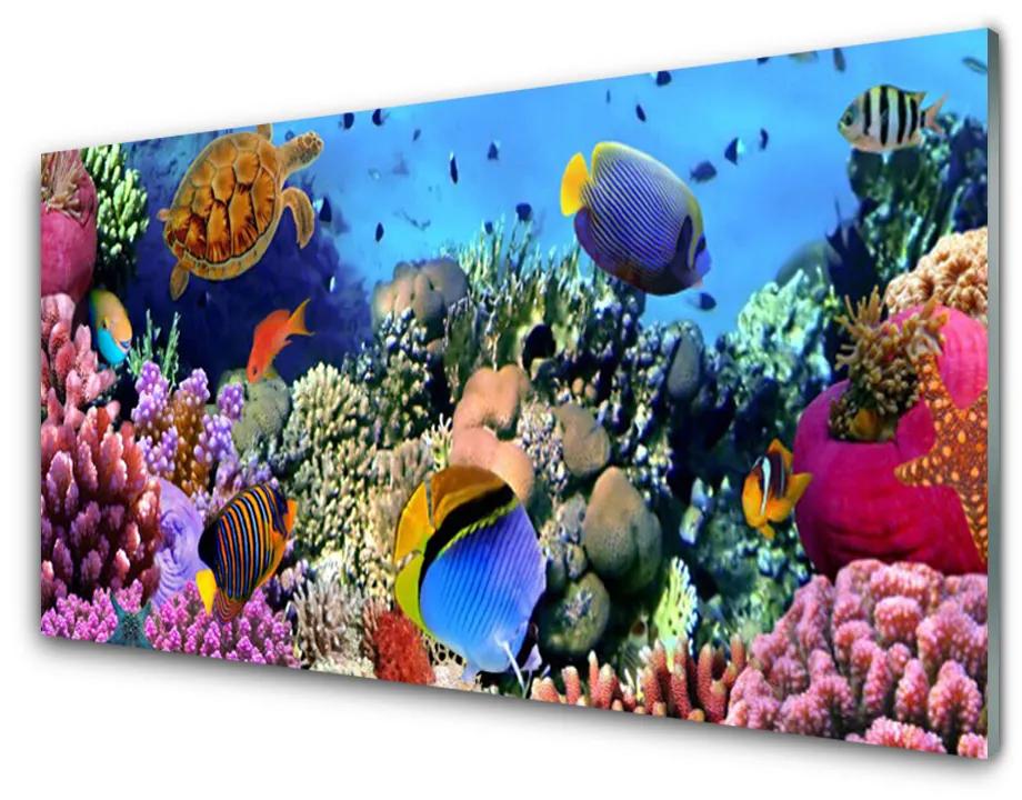 Nástenný panel  Koralový útes príroda 140x70cm